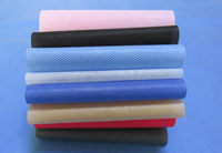 黟县涤纶（PET）无纺布是什么