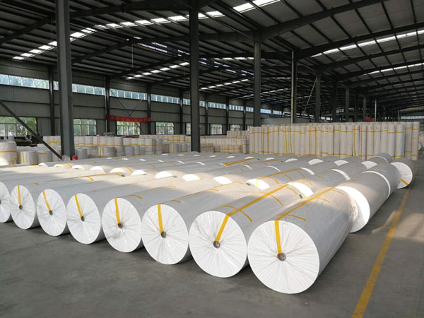 黟县狭缝式涤纶纺粘无纺布